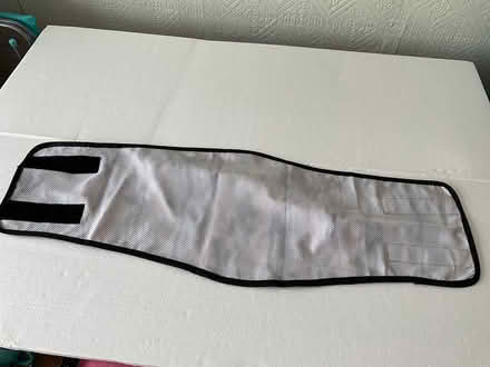 Photo of free Dog’s Belly Band xl (Wokingham RG41) #2