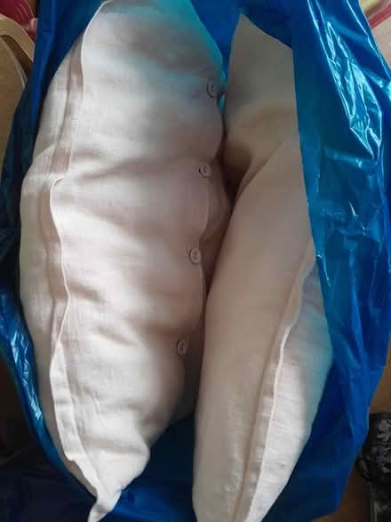 Photo of free Large cushions (SE15)