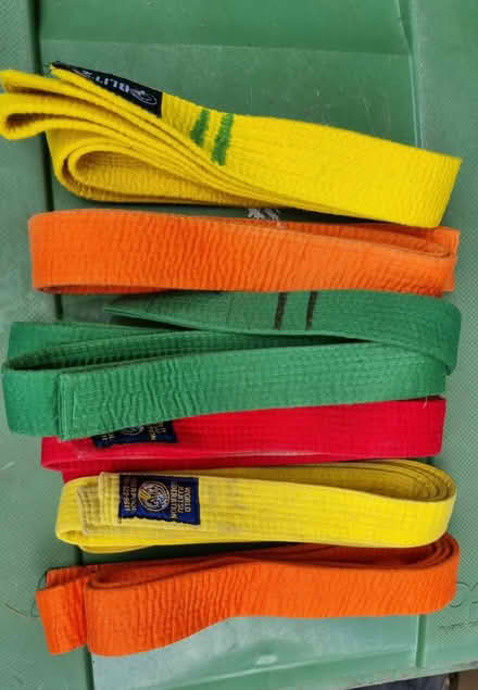 Photo of free jiu jitsu belts (WA4) #1
