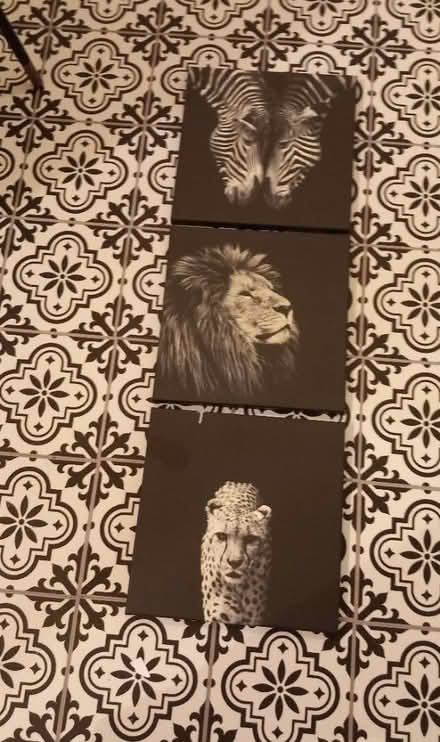 Photo of free Wildlife Canvas (DA8) #1