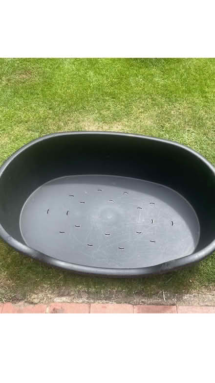 Photo of free Dog bed (Bognor Regis) #1