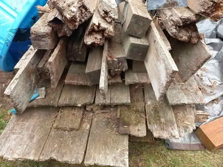 Photo of free cedar fence boards n' posts (Seatac) #1