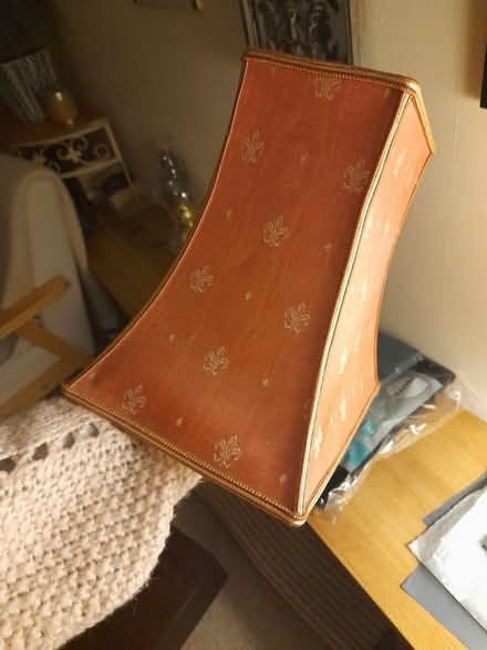 Photo of free Vintage lampshade (Larkhall, Bath BA1) #2