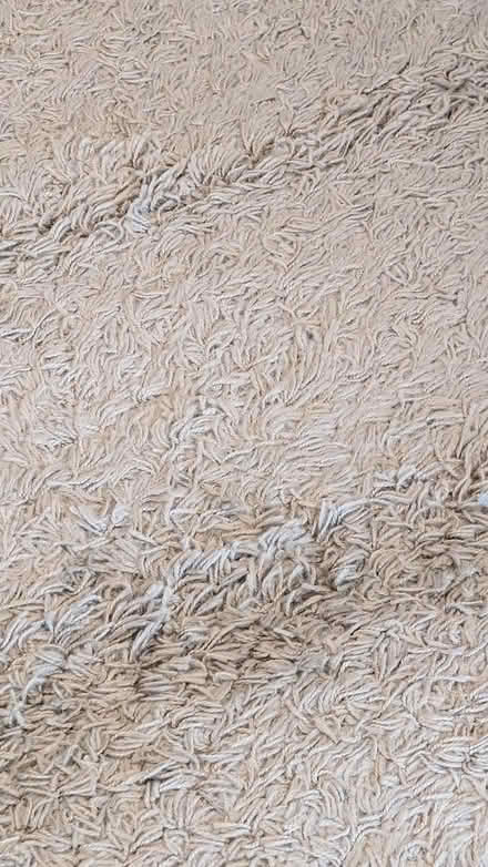 Photo of free Basic rug (Newbury, RG14) #2