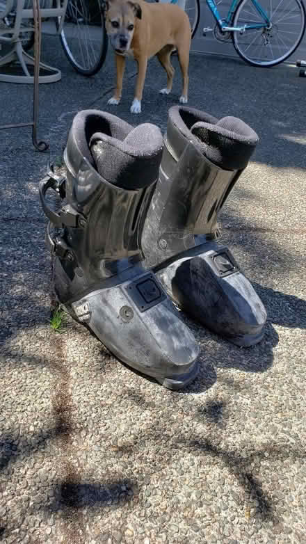 Photo of free Vintage 1980s ski boots (Kirkland Highlands) #2