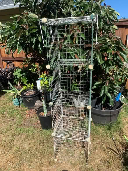 Photo of free Shelving unit (cubes) (WestEnd (WestEnd (Alameda)) #2