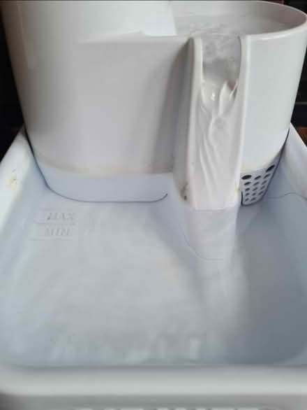 Photo of free Cat mate water fountain (Hornsey/Crouch End N8) #3