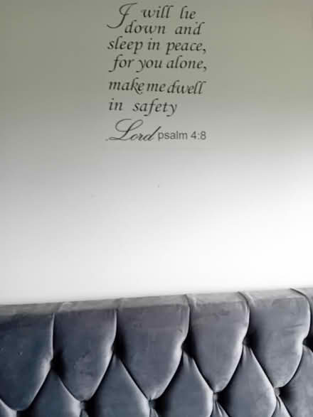 Photo of free Transfer (Vauxhall SW8) #1