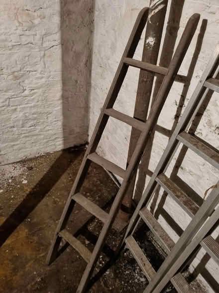 Photo of free Vintage wooden ladders (Hunters Bar S11) #1