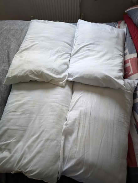 Photo of free Four pillows (Loughborough LE11) #1