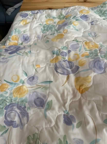 Photo of free Double/king bed cover (Hale, SP6) #2