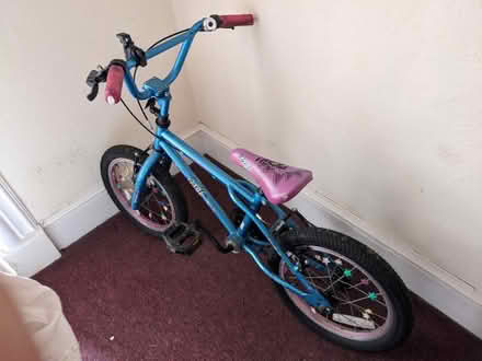 Photo of free Kid's unisex bike 16" wheel (Dane Rd, Seaford) #2