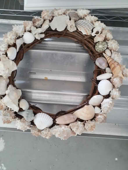 Photo of free Seashell craft items (Heights of Jupiter) #2