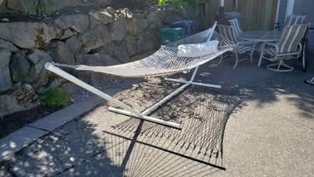 Photo of free Hammock and stand (Kirkland Highlands) #2