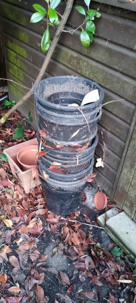 Photo of free Plastic plant pots. (Chelmsford CM1) #1