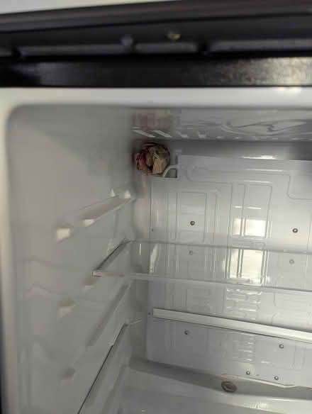 Photo of free Mini Fridge 44th St & E Union Hills (North Phoenix) #3