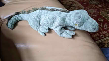 Photo of free Swampy (CM15 Shenfield) #1