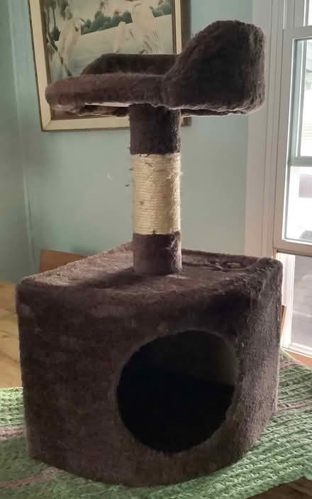 Photo of free Small cat tree (Hodgkins) #1
