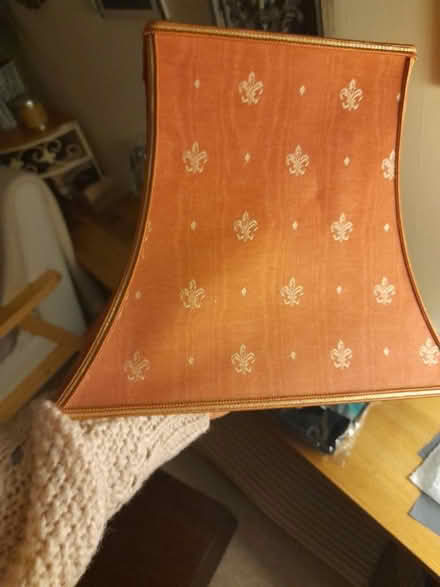Photo of free Vintage lampshade (Larkhall, Bath BA1) #1