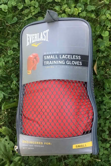 Photo of free Freestanding Training Bag (Off Germantown Pike) #2