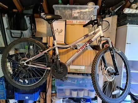 Photo of free Girls Bike (West Malvern CP WR14) #1