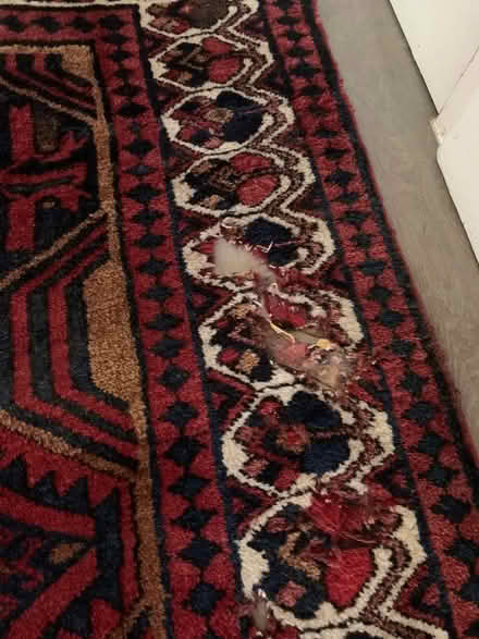 Photo of free Persian rug (NW6) #2