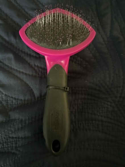 Photo of free pic brush for small dogs (Wood-Ridge) #1