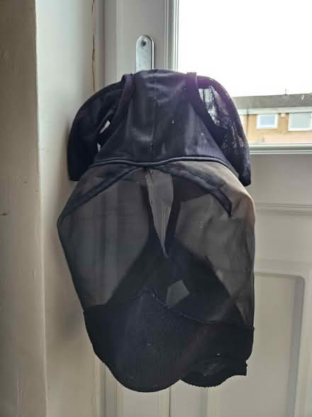 Photo of free Horses fly masks (Fleckney, Leicester) #2