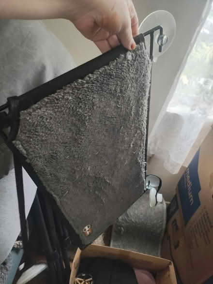 Photo of free Suction-cup window bed for cats (Wilkins Avenue) #1