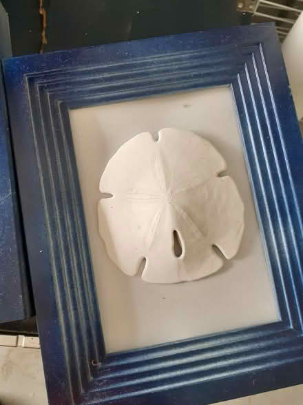 Photo of free Seashell craft items (Heights of Jupiter) #3
