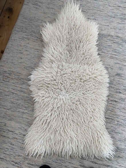 Photo of free Sheepskin rug (Horfield BS7) #1