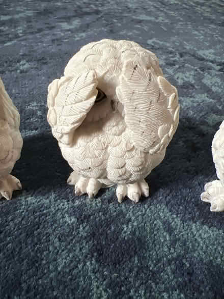 Photo of free Three little owls (W1K) #3