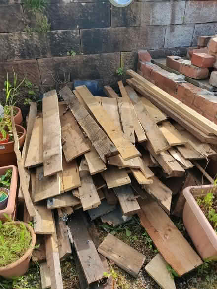Photo of free Wood for kindling (Thornhill DG3) #1