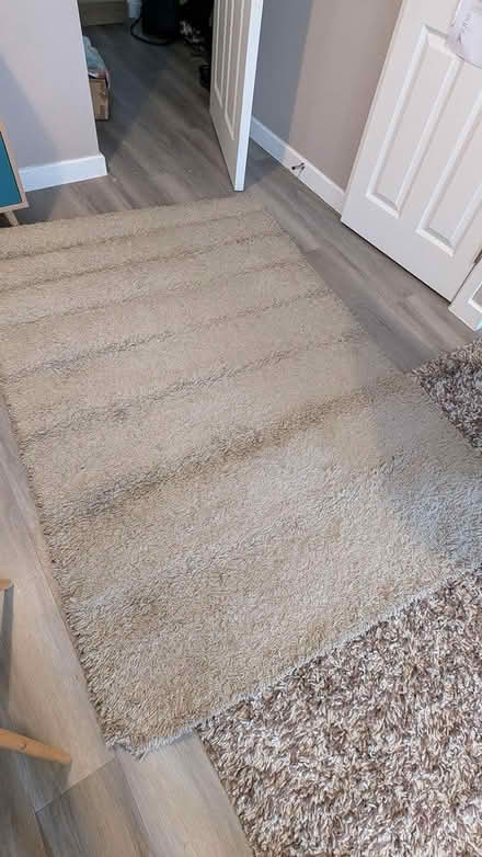 Photo of free Basic rug (Newbury, RG14) #1
