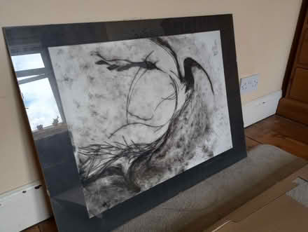 Photo of free Drypoint etching of an ibis (BA3 3XU) (Wells Road) #1
