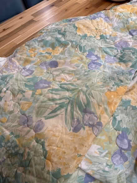 Photo of free Double/king bed cover (Hale, SP6) #1