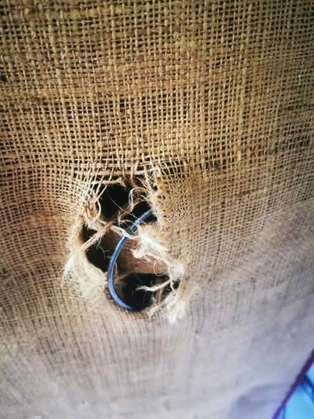 Photo of free Red chaise lounge (Kirk hallam DE7) #2