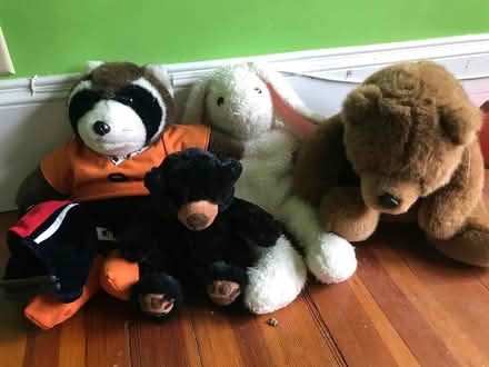 Photo of free Stuffed animals (Groton, MA 01450) #1