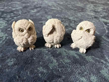 Photo of free Three little owls (W1K) #1