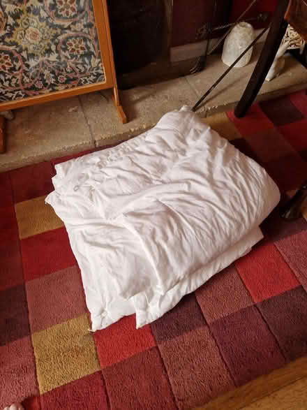 Photo of free Low tog double duvet- great for animal beds (Fromefield BA11) #1