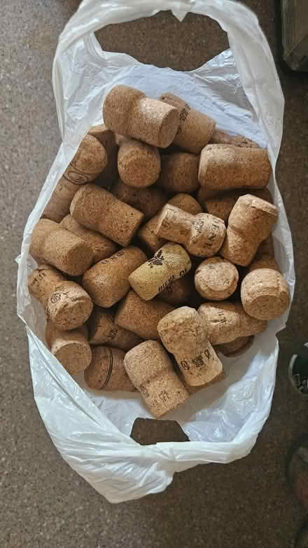 Photo of free A lot of prosecco corks (Reading RG1) #1