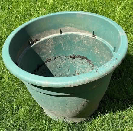 Photo of free Large green plastic pot (Waterlooville PO7) #1