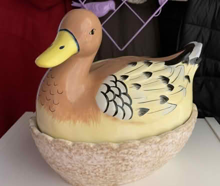 Photo of free Novelty Duck for egg storage (Far Bletchley MK3) #2