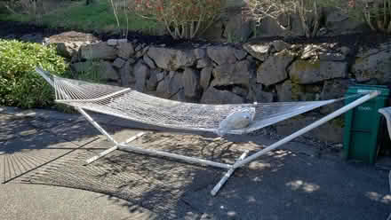 Photo of free Hammock and stand (Kirkland Highlands) #1