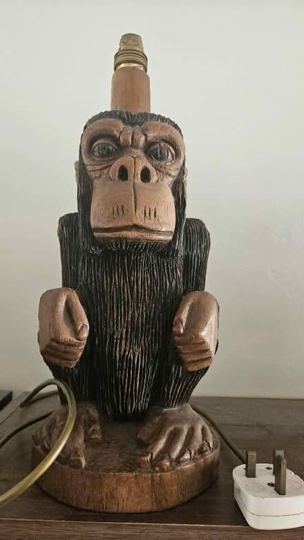 Photo of free Monkey lamp (Reading RG1) #1
