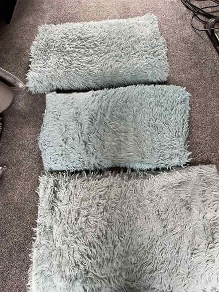 Photo of free 3 duck egg throws (Luton Airport LU2) #4
