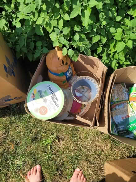Photo of free stuff (South Brunswick) #4