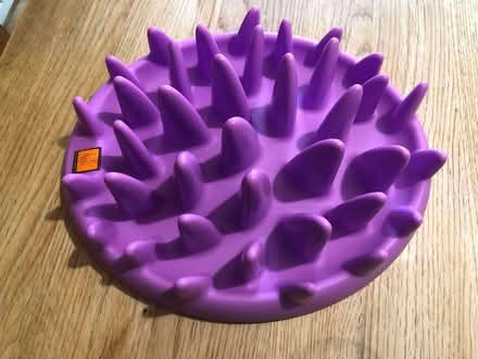 Photo of free Dog/Cat Slow Feeder (Gilesgate, Durham) #1