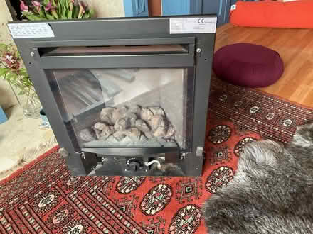 Photo of free Focus Gas Fire (Kendal LA9) #4