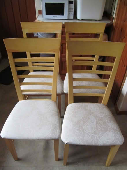 Photo of free 4 dining chairs (Petersfield GU31) #1